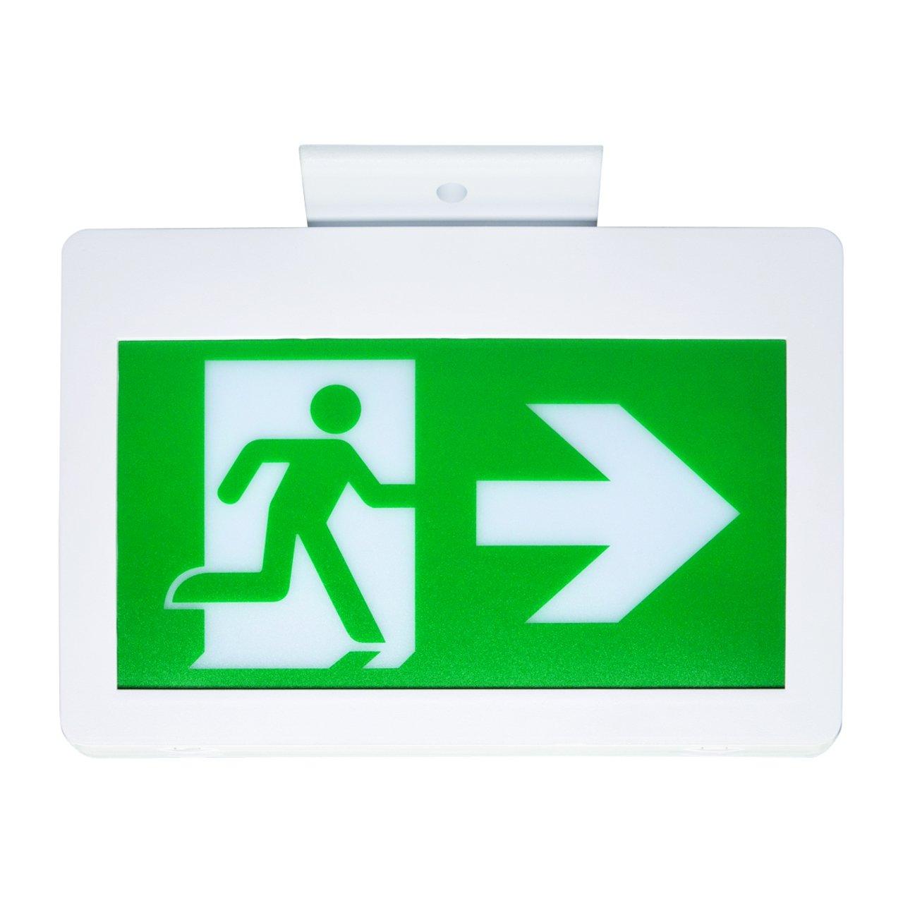 CM-PS-SP-E PLASTIC SIGN PICTO 120-347V S
