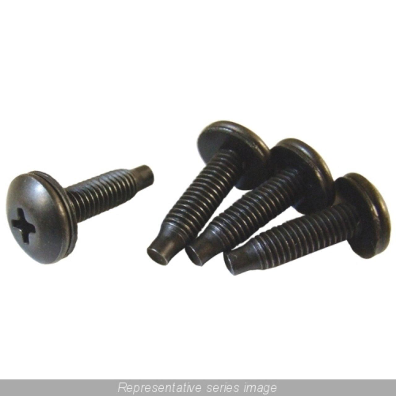 SCREW1032-100 100-PKG 10-32 RACK SCREWS
