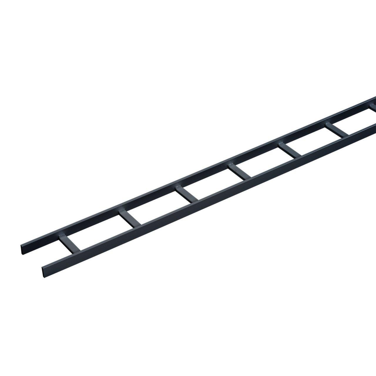 LSS12G LADDER RACK  STRAIGHT SECTI(10025
