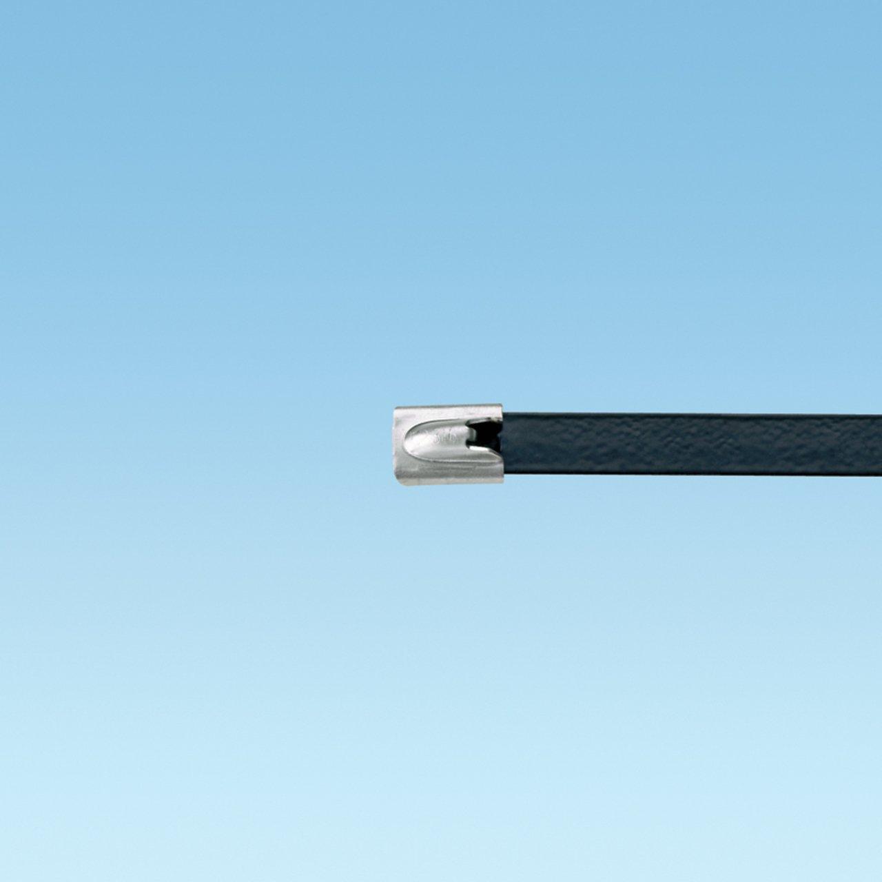 MLTFC8S-CP316 PANSTEELTIE 316SS POLY STD