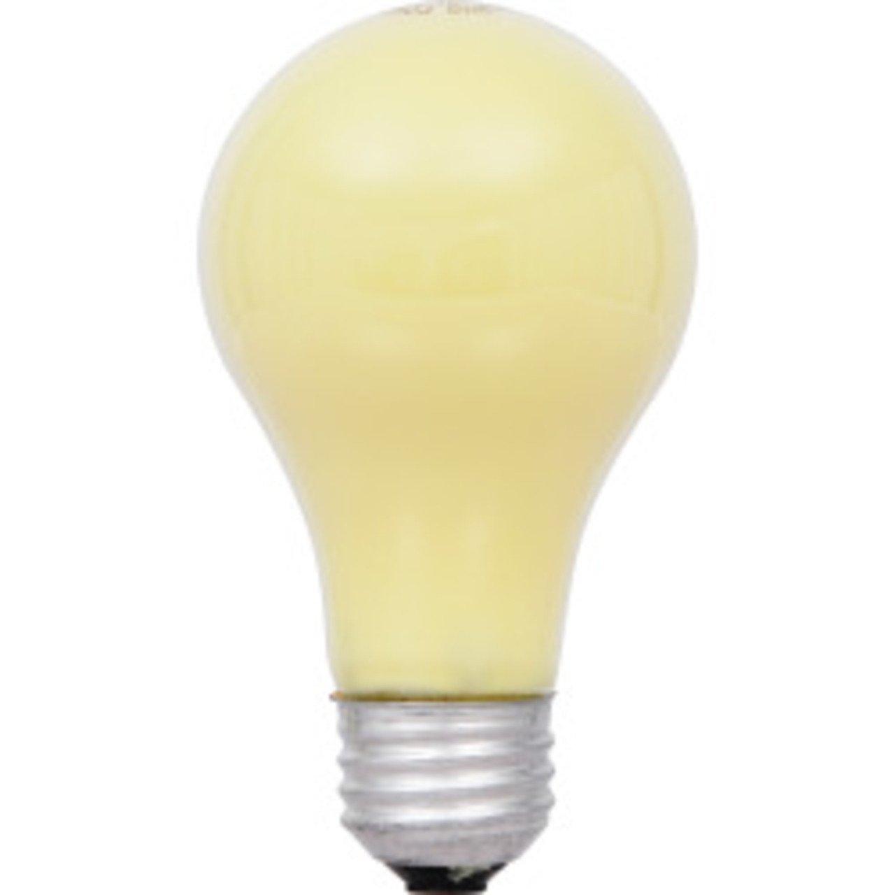 60A/Y/RP 120V LAMP