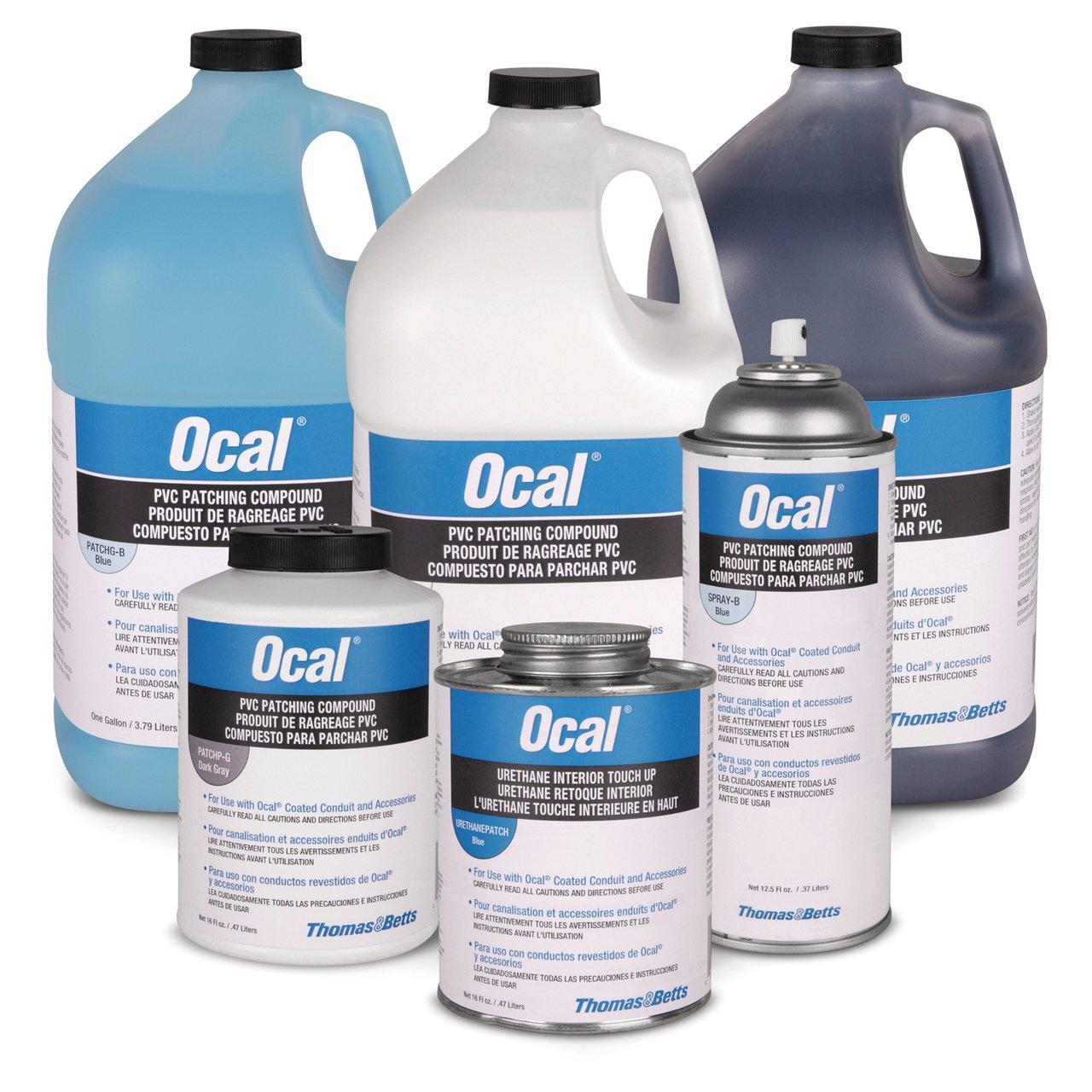 SPRAYG OCAL SPRAY 12OZ CAN  GRAY