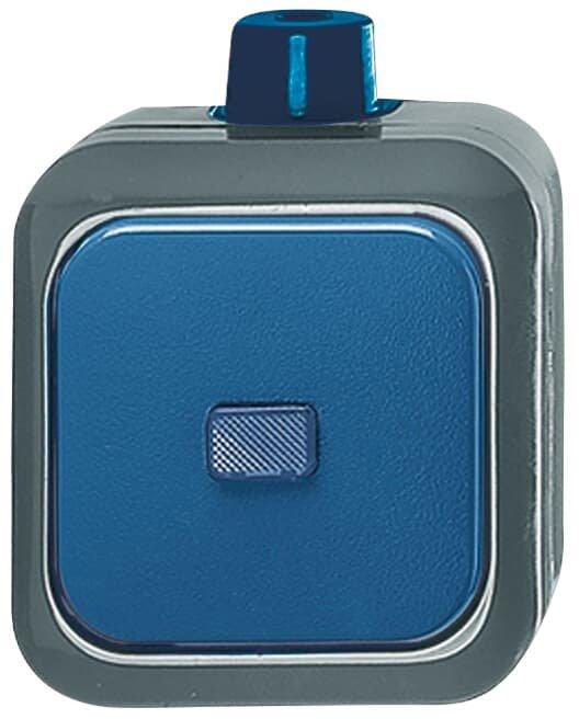 Wippschalter Aus- und Wechselschaltung blau - Busch-Duro 2000 WDI