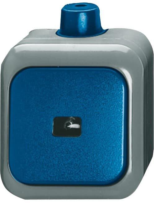 Wipptaster 1-polig Schließer mit N-Klemme 10A blau - Busch-Duro 2000 WDI