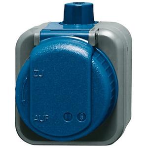 SCHUKO Steckdose mit Klappdeckel wasserdicht 16 A blau - Busch-Duro 2000 WDI
