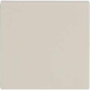 Wippe future linear für Aus Wechsel Kreuz Taster elfenbein glänzend