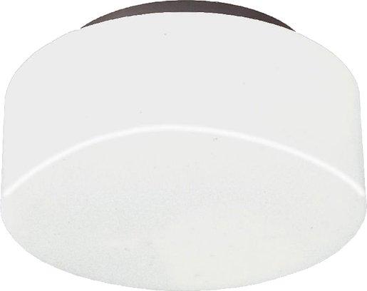 Decken- und Wandanbauleuchte 19041 Opal-Nurglasleuchte schwarz IP40