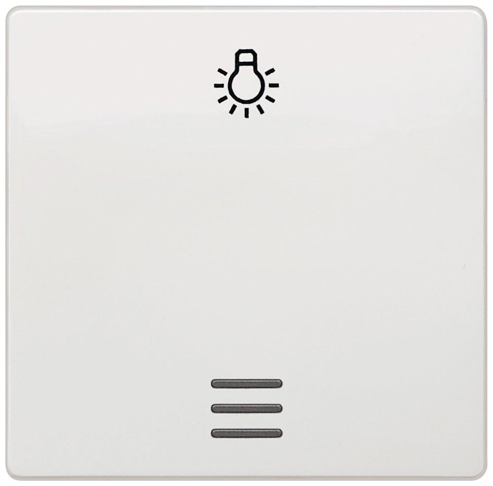 Wippe I-System mit Fenster und Symbol Licht titanweiß