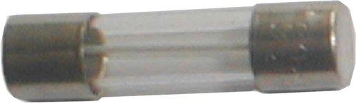 G-Sicherung träge 5x20mm 250V L 0,63A