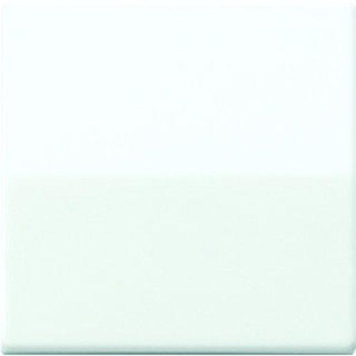 Wippe Zentralplatte für Wippschalter Tastschalter und Taster BA 1-fach