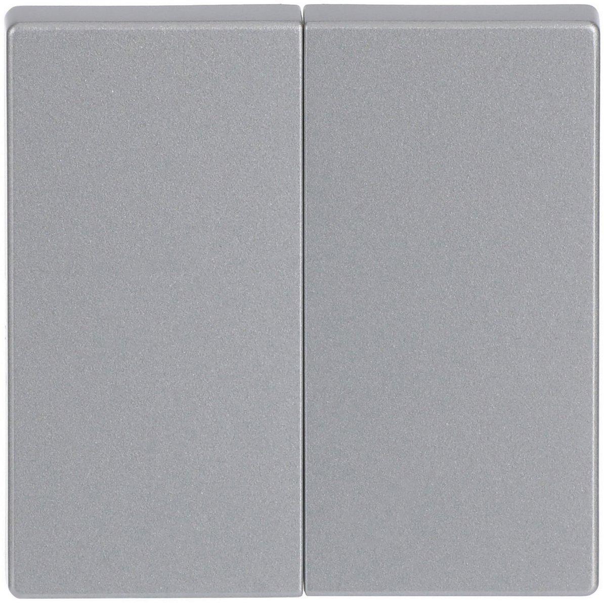 Wippe 2-fach für Serienschalter alusilber - Plattform 63