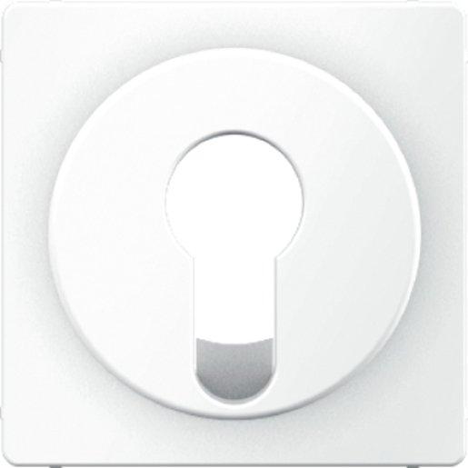 Zentralstück für Schlüsselschalter/-tast er Q.1 polarweiß samt