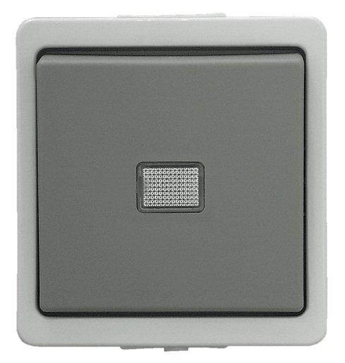 Feuchtraum Taster Schliesser mit Symbol AP