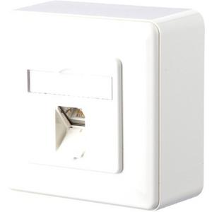 Kommunikationsanschlussdose E-DAT C6 1 Port AP reinweiß