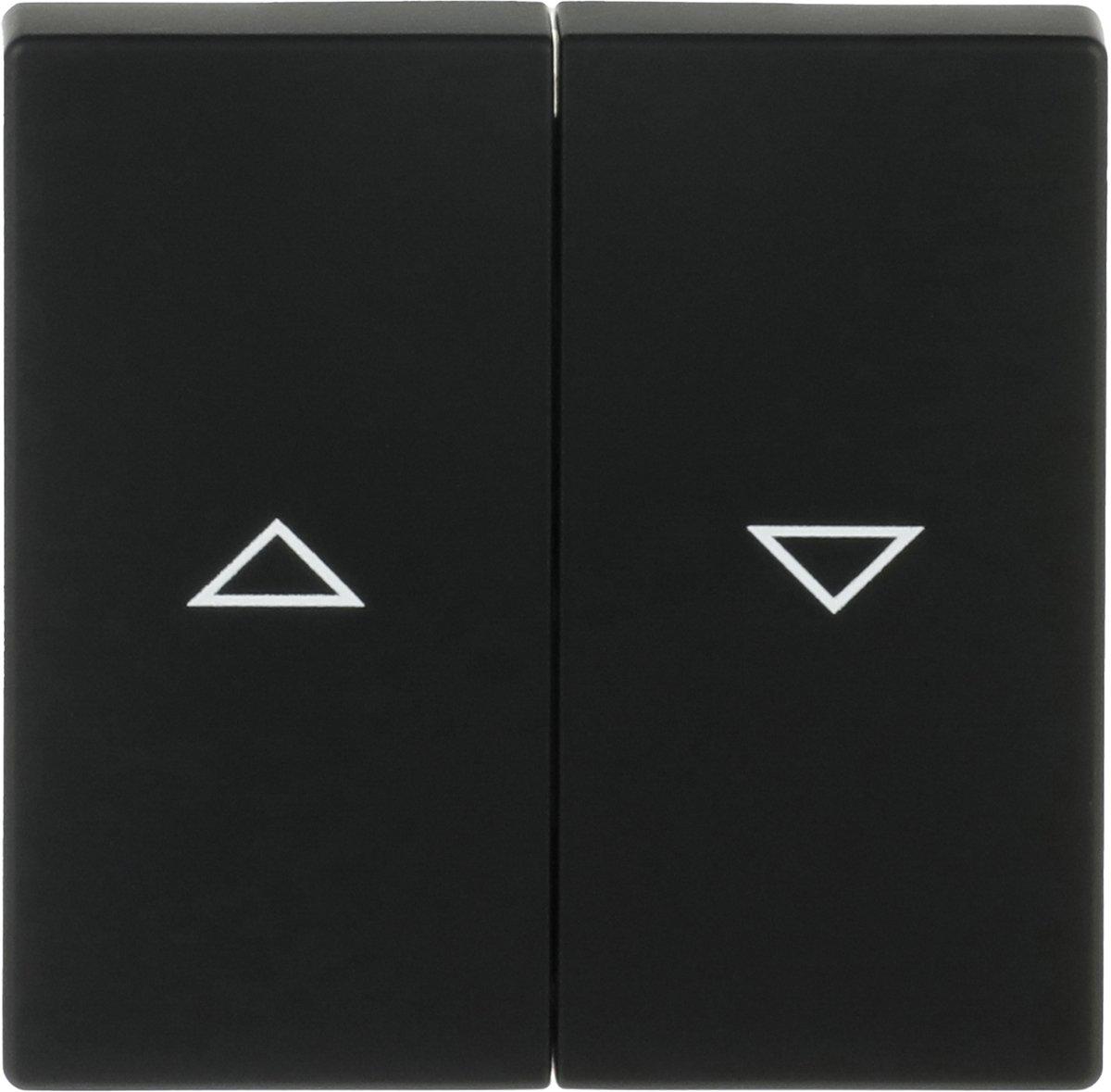 Wippe future linear für Unterputz Jalousieschalter/-taster schwarz