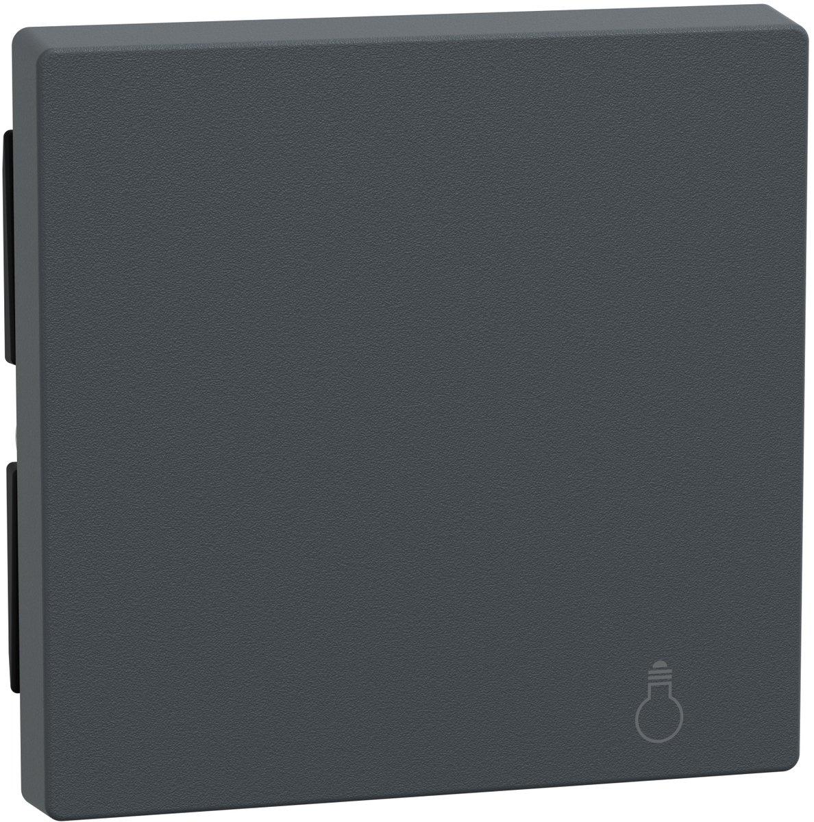 Wippe mit Kennzeichnung Licht anthrazit