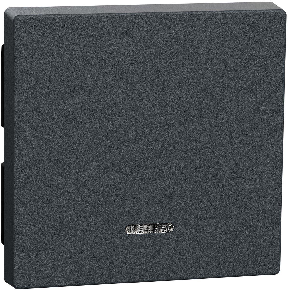 Wippe mit Kontrollfenster anthrazit