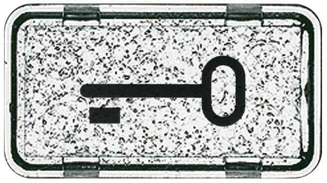 Tastersymbol mit Symbol "Schlüssel" transparent klar - Allwetter 44 (IP44)/ocean