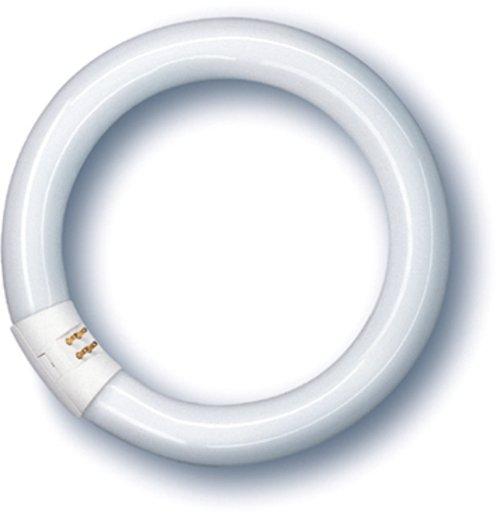 Leuchtstofflampe Bund Spectralux Plus NL-T9 32W/840C/G10Q