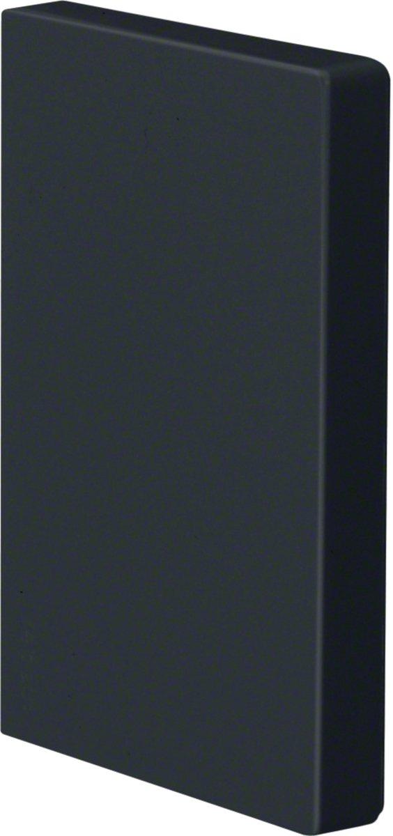Endplatte für LF 65x100mm grafitschwarz