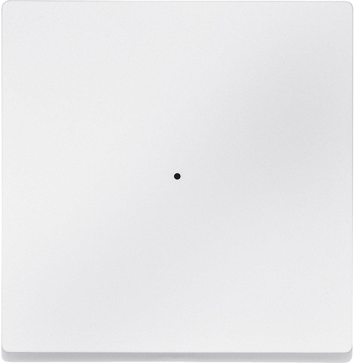 Wippe für Taster-Modul 1-fach polarweiß
