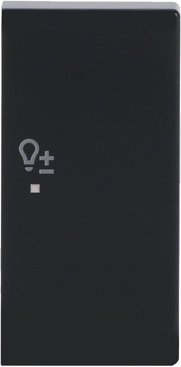 Wippe 2-fach rechts mit Symbol Dimmer Symbol Dimmen anthrazit - Plattform 63