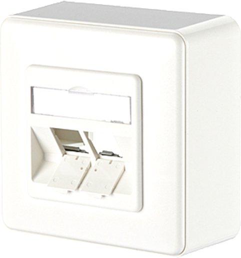 Modul Anschlussdose AP 2 Port unbestückt reinweiß