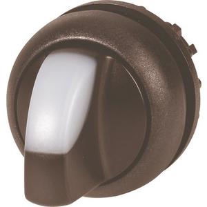 Leuchtwahltaste 2 Stellungen weiss rastend