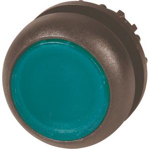 Leuchtdrucktaste flach grün tastend