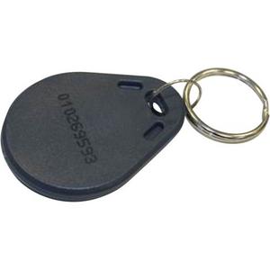 Lesekarte in Schlüssel - Anhängerformat