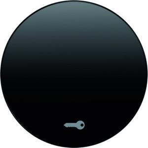 Wippe mit Aufdruck Symbol Tür Berker R.1/R.3 schwarz glänzend