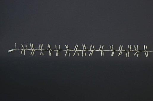 Indoor LED Magic String Lite 240 LED weiß 5 m transp. Kabel