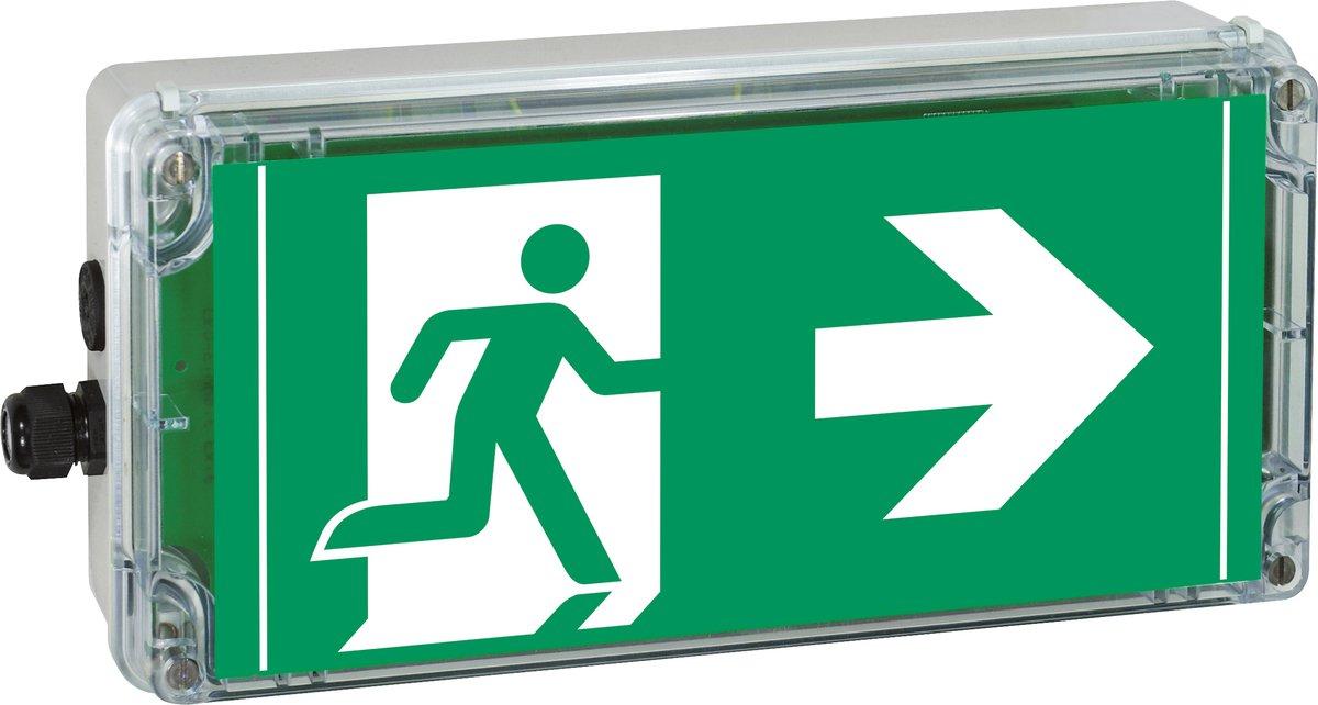 Ex-RZ-Leuchte EXIT 3h (Pfeil nach rechts) - M20 Einf. / M20 Schraubver