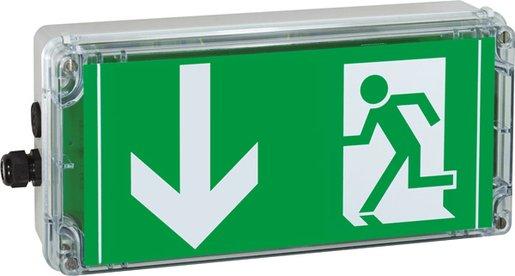 Ex-RZ-Leuchte EXIT 6h (Pfeil nach unten) - M20 Einf. / M20 Schraubver.