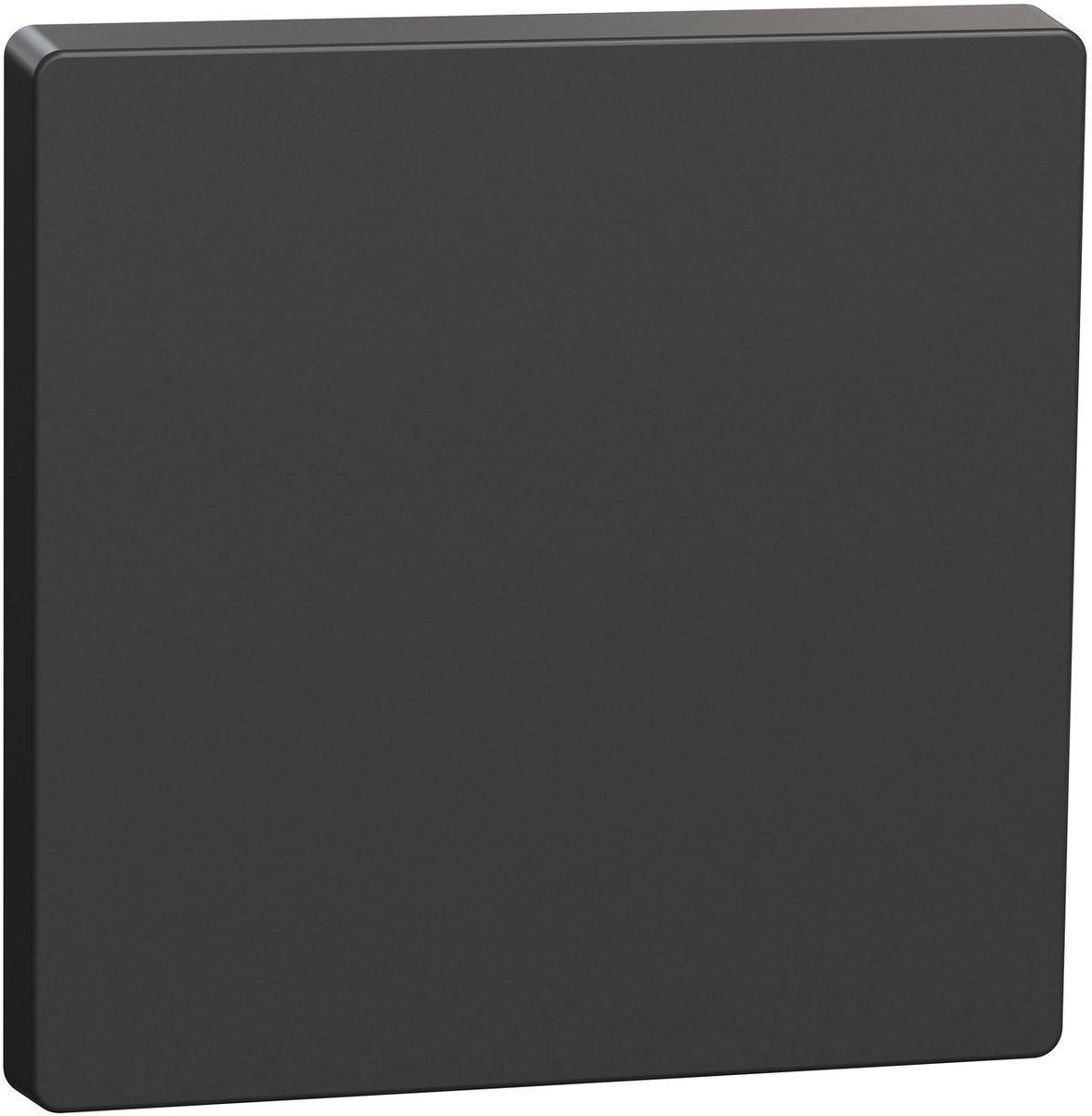 Einteilige Wippe für Einzelschalter oder Taster anthrazit