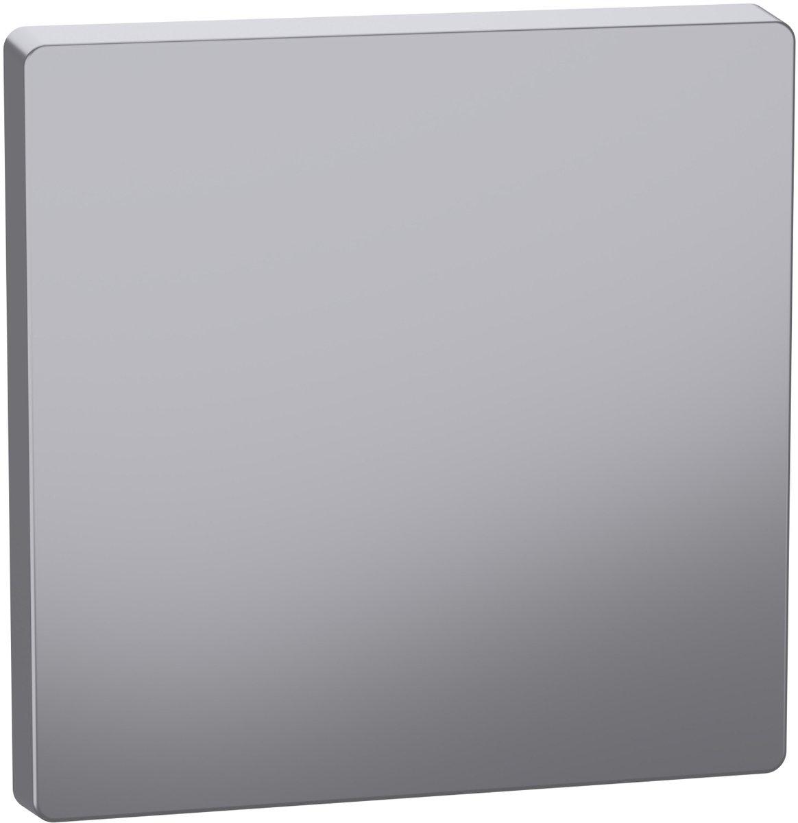 Einteilige Wippe für Einzelschalter oder Taste Edelstahl