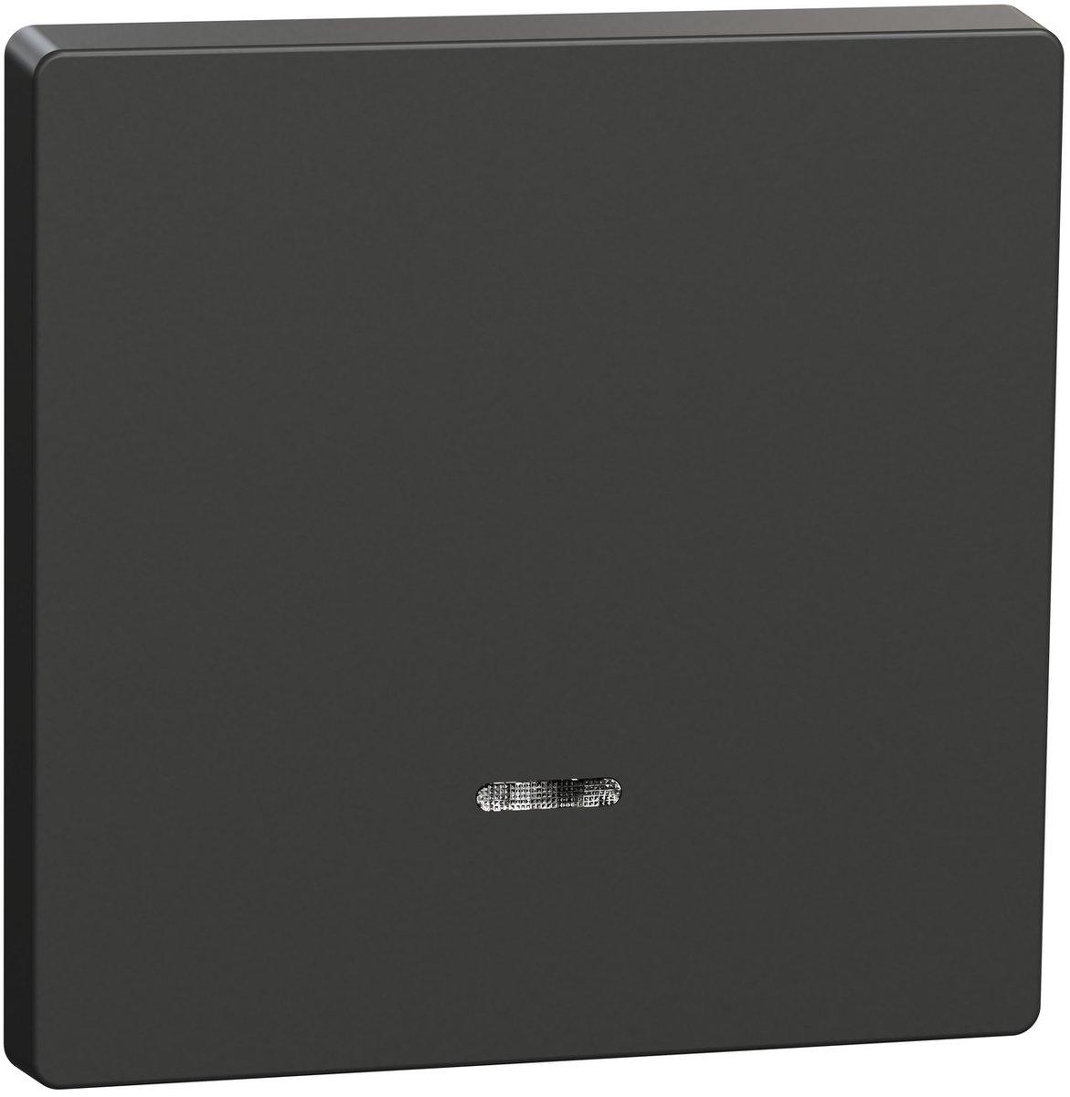 Einteilige Wippe für Einzelschalter oder Taster mit Kontrollfenster anthrazit