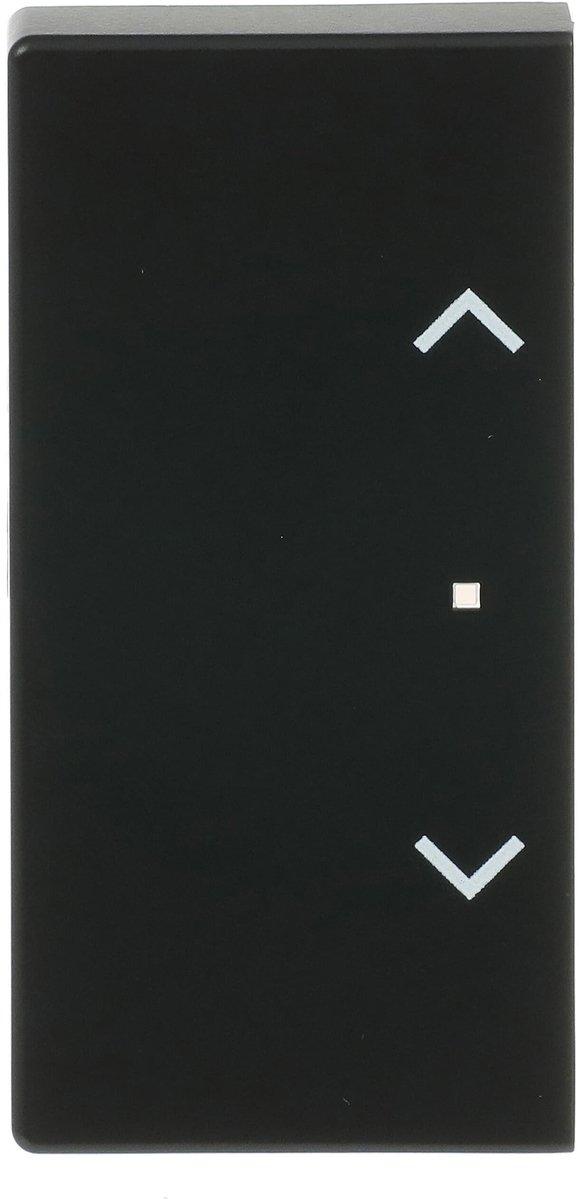 Wippe 2-fach links/rechts flex f@h KNX /Symbol Pfeile schwarz matt Plattform 63