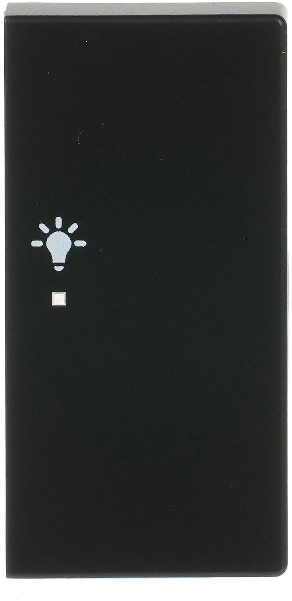 Wippe 2-fach rechts flex f@h KNX mit Symbol Licht schwarz matt - Plattform 63