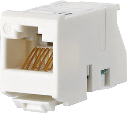 UAE modul Kat. 6 Jack T568A