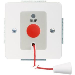 Ruftastereinsatz mit Zentralplatte reinweiß glänzend