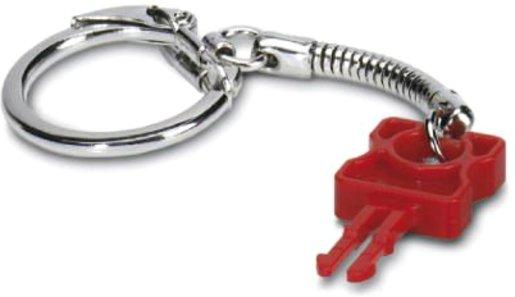 Schlüssel Patch Guard Key