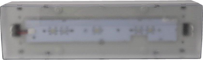 Sicherheitsleuchte Rettungsweg LED CGLine+ ISO7010