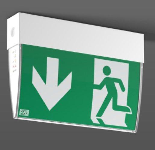 LED Sicherheitsleuchte EXEO D 4W 3h Dauer/Bereitschaftsschaltung