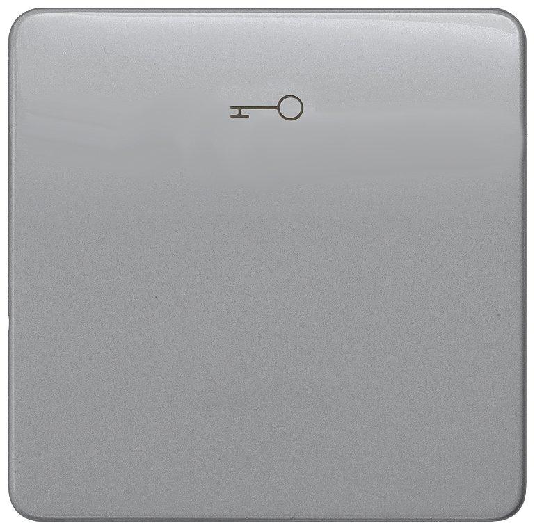 DELTA profil silber Wippe mit Symbol Türöffner für Taster 65X65mm