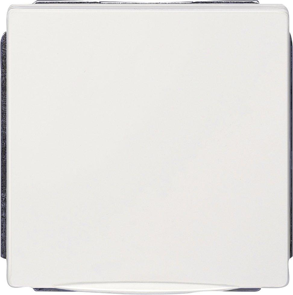 DELTA style platinmetallic Schuko-Steckdose 10/16A 250V mit Klappdeckel