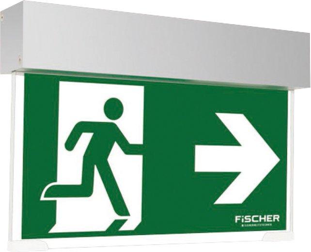 Rettungszeichenleuchte A3 easy-NB 3/8h 25m silber