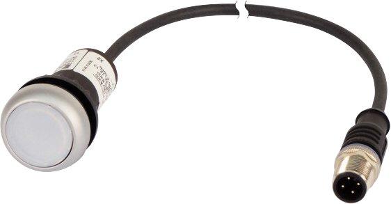 Leuchtdrucktaste flach tastend 1 Schließer mit M12A-Stecker LED weiß