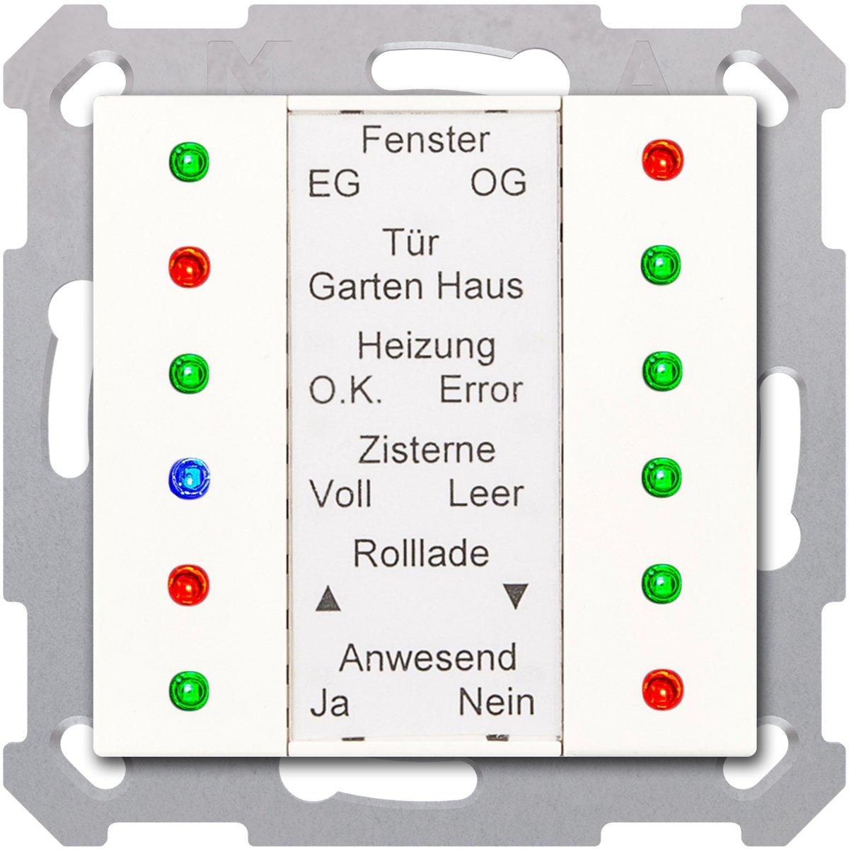KNX LED Anzeige 55 Reinweiß glänzend