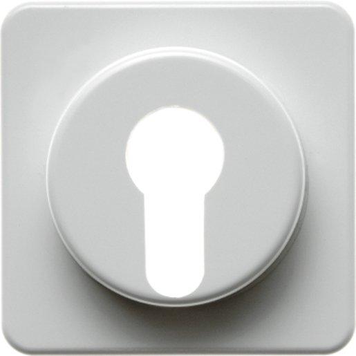Zentralstück für Schlüsselschalter/-taster wg Up IP44 polarweiß